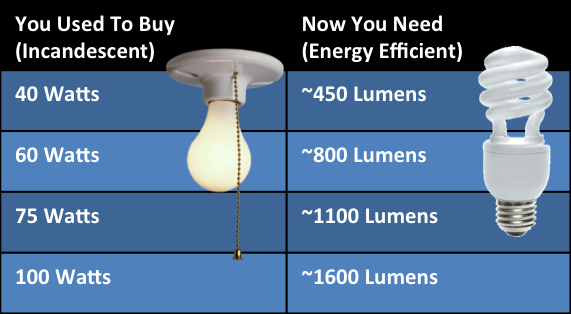 Evaluating Energy Efficient Light Bulbs